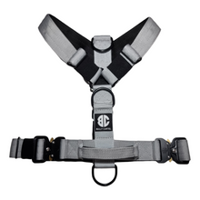 Load image into Gallery viewer, Combat Harness - Steel