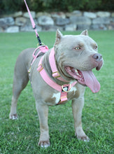 Load image into Gallery viewer, Luxury Harness - Pink