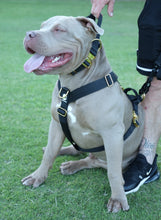 Load image into Gallery viewer, Luxury Harness - Black