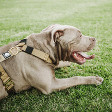 Load image into Gallery viewer, Luxury Harness - Gold