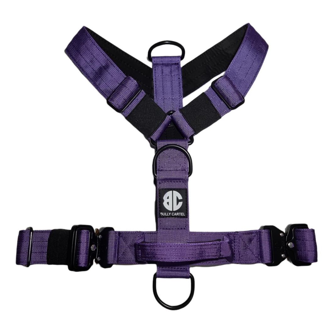 Combat Harness - Purple