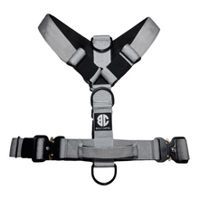 Load image into Gallery viewer, Combat Harness - Steel
