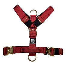 Load image into Gallery viewer, Luxury Harness - Royal Red
